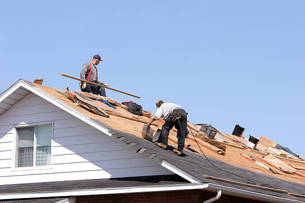 Professional Roofing service in Aledo, TX